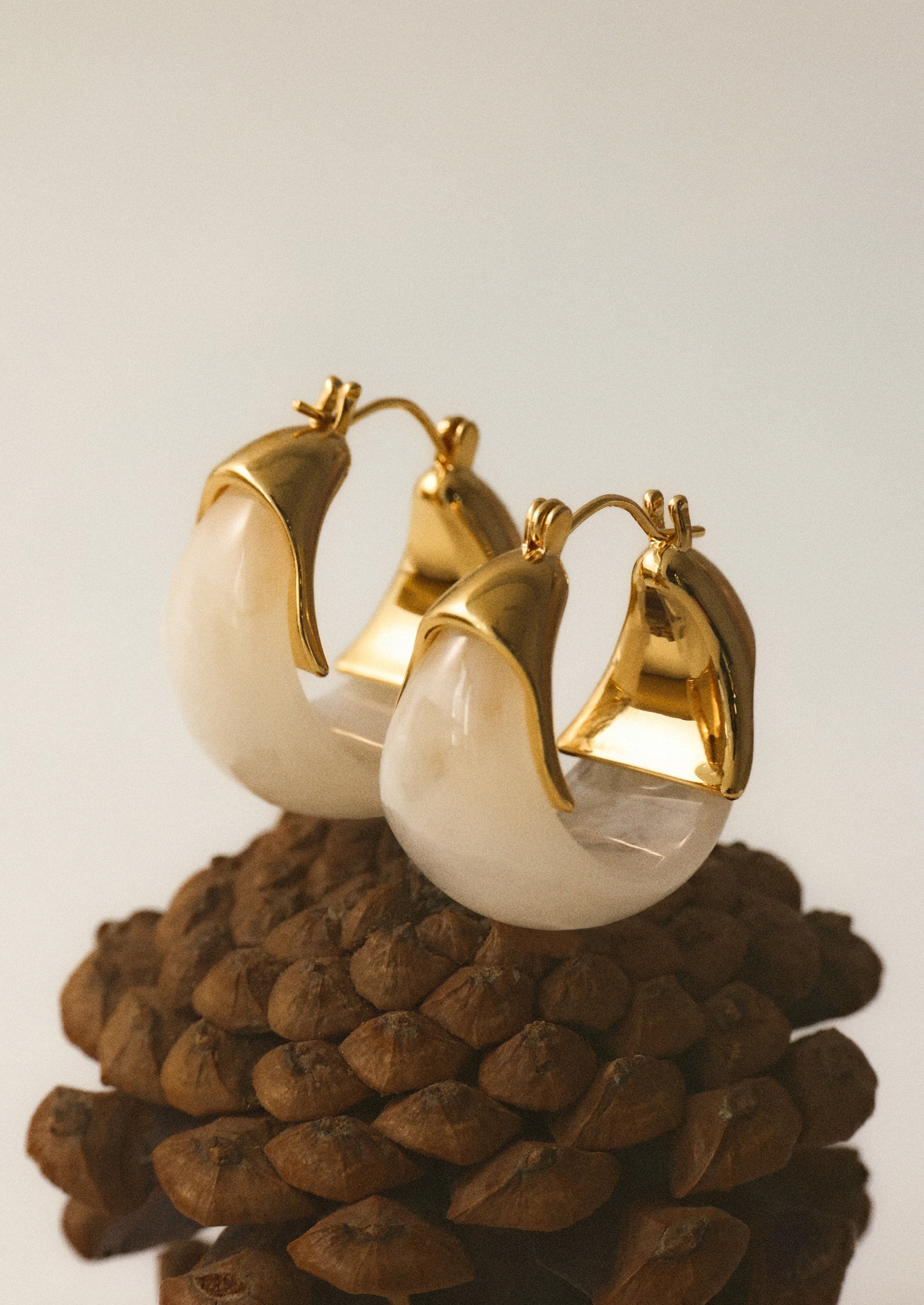 18K Gold-Plated Brass Sculptural Resin Hoop Earrings