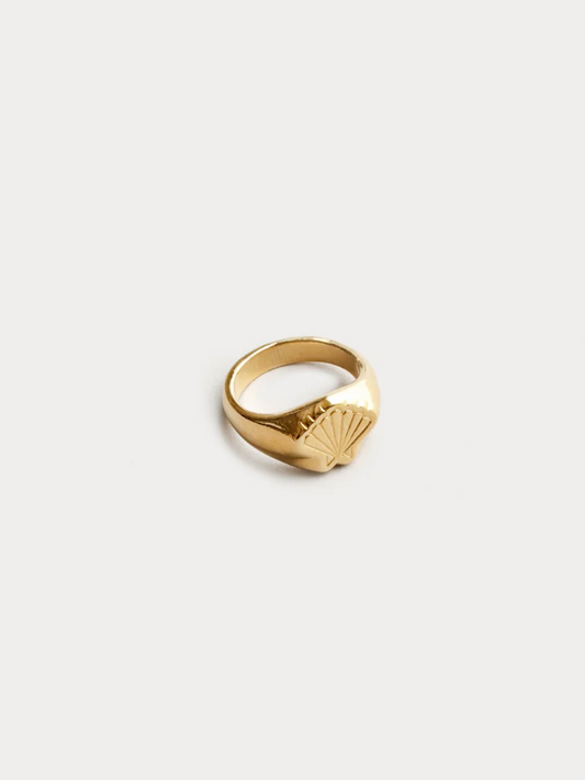 Shell Ring in Gold